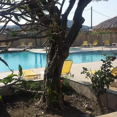 Summer Days 팔리라키